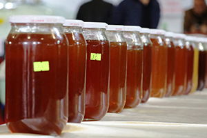 Malatya, `En İyi Bal`ı Seçti