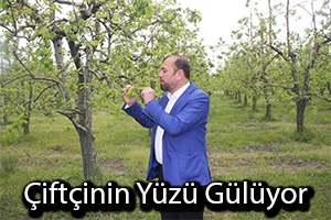 Bu Sene Meyve Bolluğu Yaşanacak