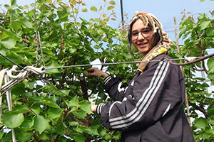 Yılın İlk Örtü Altı Hasadı Yapıldı