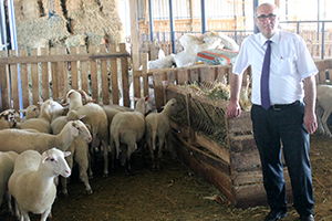 Küçükbaş Hayvancılık Kan Kaybediyor