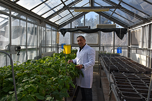 3 Yerli Patates Çeşidi Tescillendi