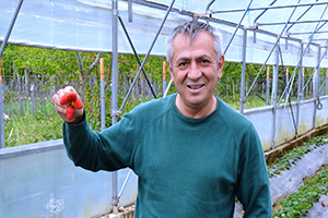 Ordu`lu Çiftçiler Çileği Sevdi