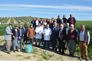 Zararlı Böcekleri, Faydalı Böceklerle Yok Ediyorlar