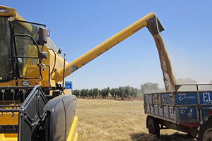 Biçerdöver Kontrolleri Başlıyor