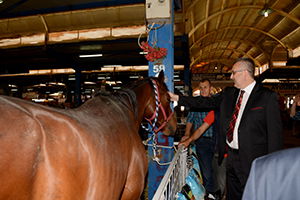 Küçükbaş Hayvan ve Ekipmanları Tanıtım Günleri`ne İlgi Büyük