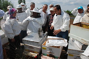 Bayramiç`te Ana Arı Üretim Kursu