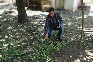 Dolu, 82 Köyde Zarara Yol Açtı