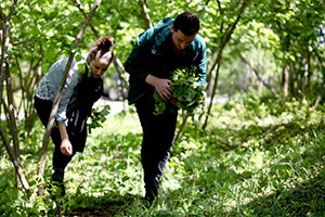 Fırtına, Fındık Bahçelerine Zarar Verdi