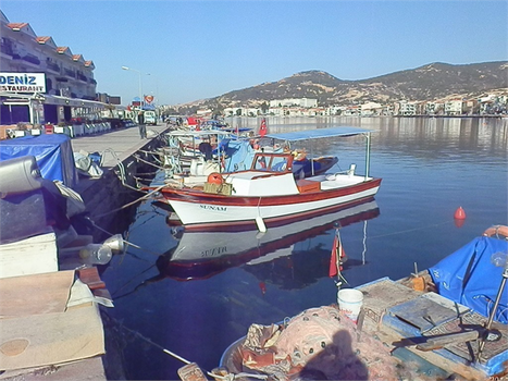 Sürdürülebilir Balıkçılık Çalıştayı Yapılacak