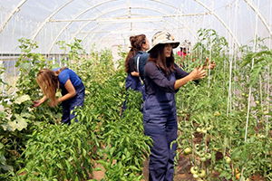 Genç Çiftçi Projelerinin Başvuru Değerlendirme Sonuçları Açıklandı