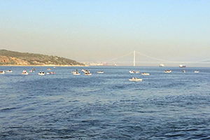 Körfez` de Balık Çeşitliliği Artacak