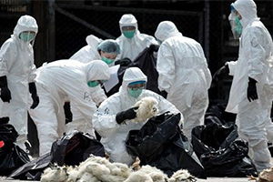 Üreticilere `Kuş Gribi` Uyarısı