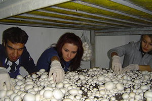 Sektör Bu Öğrencileri Bekliyor