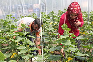 Genç Çiftçi Projesi İle Kendi İşinin Patronu Oldu