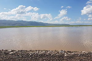Yağışlar, Tarla Ürünlerini Vurdu