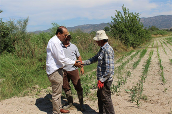 Başkan Ozan`ın Tarla Ziyareti