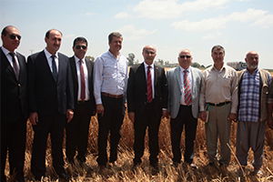 Buğday Rekoltesi, Çiftçiyi Sevindirdi