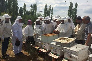 Uygulamalı Ana Arı Yetiştiriciliği` Kursu İle Üretici Bilgilendirildi