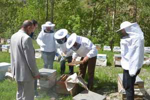 Arıcılık Kursuna Yoğun İlgi