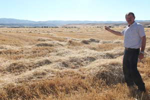 50 Ton Arpa Çaldılar