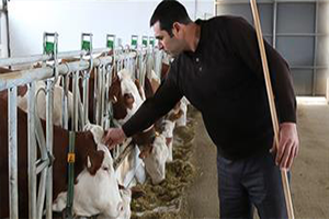 Bakan Açıkladı: Yetiştiricilerimiz Rahat Olsunlar