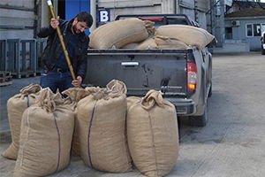 400 Bin Ton Fındık Piyasada