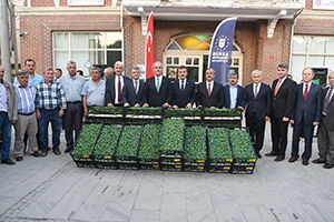 Dünya Pazarlarına Özel Üretim