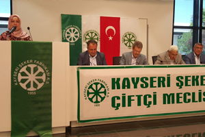 `Şeker Sektörünün Sorunu Tatlandırıcılar Ve Mısır Şekeri`