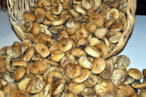 Başkan Ülken: `Er ya da Geç İncire Destek Verilecek`