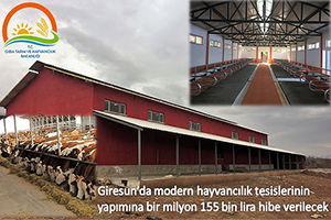 Modern Hayvancılık Tesislerinin Yapımına Bir Milyon 155 Bin Lira Hibe Verilecek