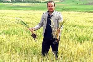 Toprağı İkinci Ürün Ekimine Hazırlamak İçin `Anız Yakma, Saman Olsun` Kampanyası Başlatıldı