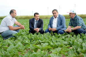 1 Milyon Ton Şeker Pancarı Üretiliyor