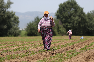 Tarım`dan 5 Milyonluk İstihdam