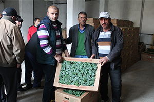 Çiftçilere Tohum ve Fide Desteği