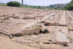 Çiftçinin Zararı Tespit Edilecek