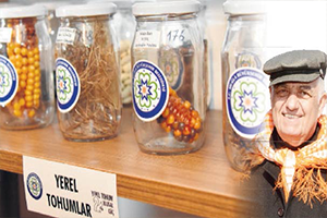 Muğla`da Yerel Tohum Yükselişte