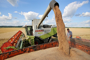 750 Bin Ton Buğday Vergisiz İthal Edilecek