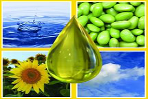Biyodizel`de Yeni Hammadde