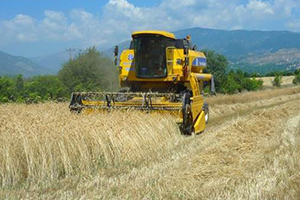 Tosya 13 Biçerdöver İle Rekor Kırdı