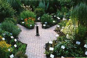 Nilüfer`in Bostanlarında Aromatik Bitkiler Üretiliyor