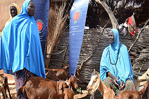 TİKA Nijer`de 876 Keçi Dağıttı