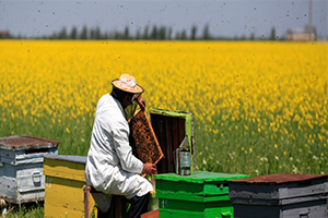 İşte Desteklemede Aranan Şartlar