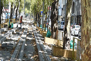 Asırlık Çınar Koruma Altına Alındı