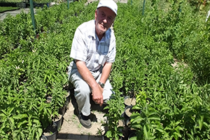 20-30 Fide Başladığı Üretimde Şimdi Üretim Merkezi Oldu