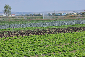 Yeni Bakan`dan Üreticiler Yardım İstedi