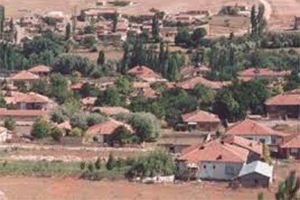 300 Başlık Süt Sığırcılığı İçin Toplu Ahır Yapılacak