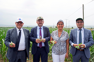 Yerli Tohum - Taze Mahsul ile Ürün Fiyatları İndiriliyor
