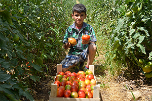 Ürün Çeşitliliğimiz Arttı