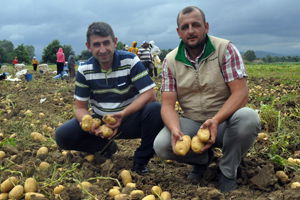 Patates Üreticisi Mutlu