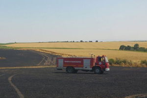 İtfaiyenin Erken Müdahalesi ile Buğday Tarlası Kurtarıldı
